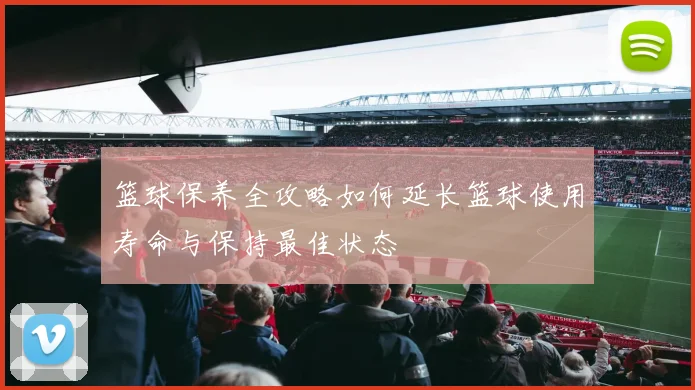 篮球保养全攻略如何延长篮球使用寿命与保持最佳状态