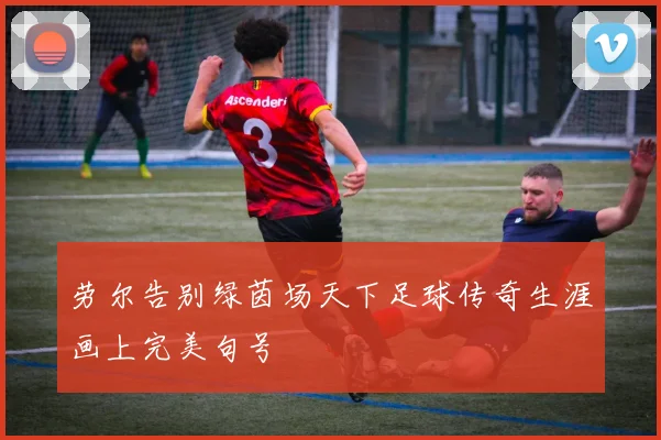 劳尔告别绿茵场天下足球传奇生涯画上完美句号