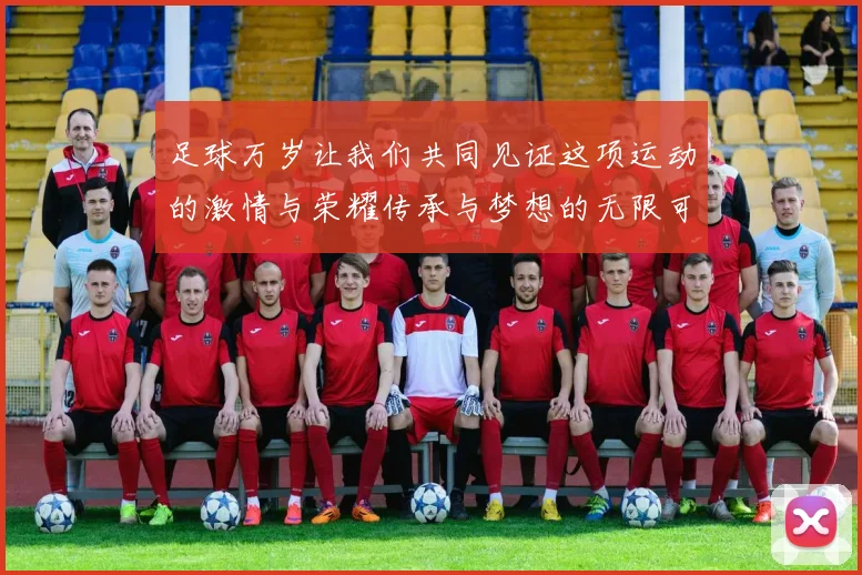 足球万岁让我们共同见证这项运动的激情与荣耀传承与梦想的无限可能