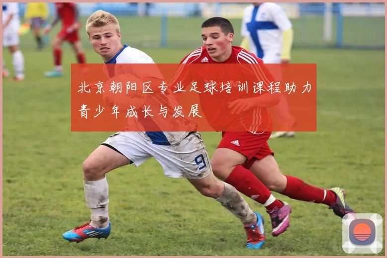 北京朝阳区专业足球培训课程助力青少年成长与发展