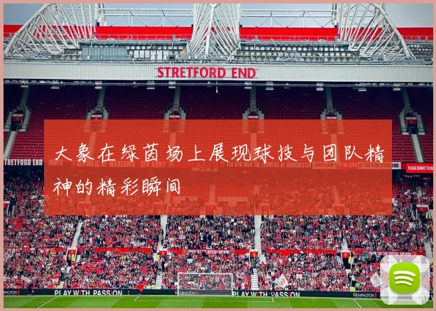 大象在绿茵场上展现球技与团队精神的精彩瞬间