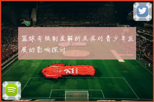 篮球考级制度解析及其对青少年发展的影响探讨